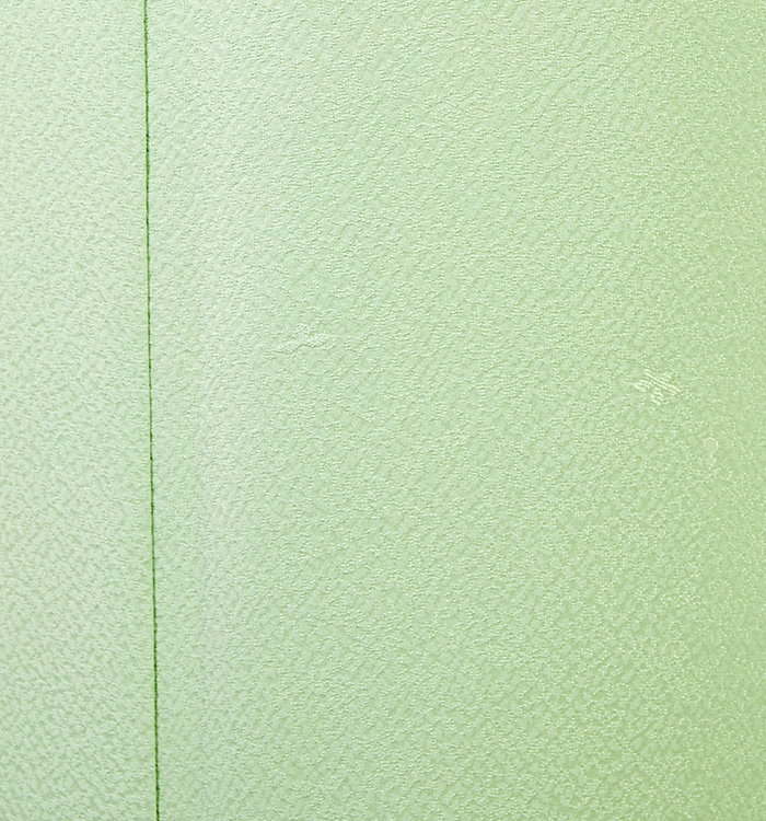 色無地 No.BA-0164-ワイド-MOサイズ_04