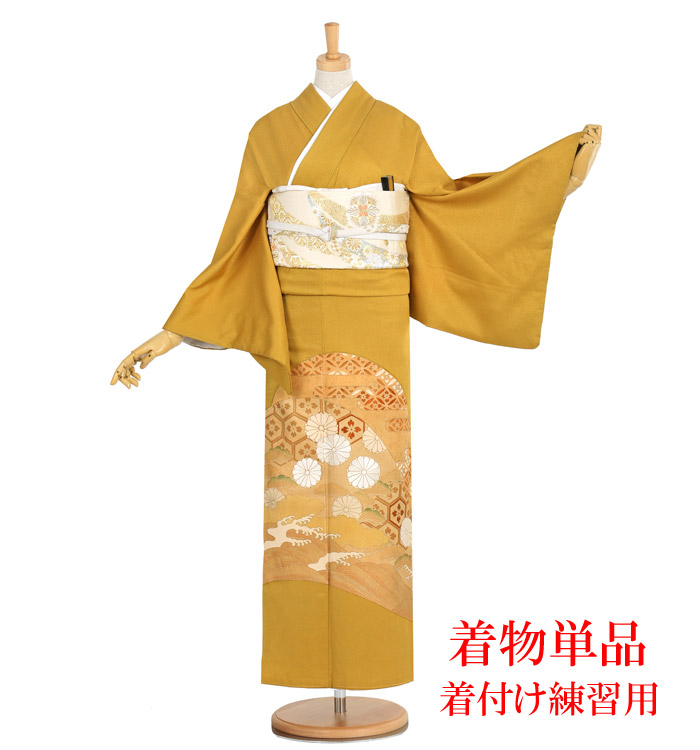 着物単品】色留袖 No.DA-0332-Mサイズの通販｜きもの365