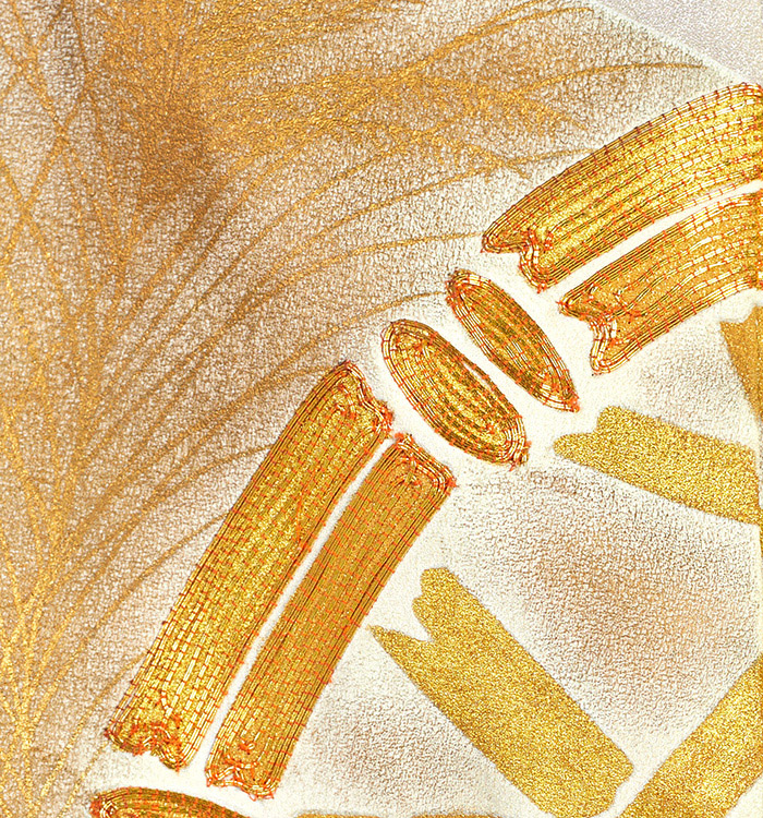 五つ紋色留袖 No.DA-1348-Sサイズ_06