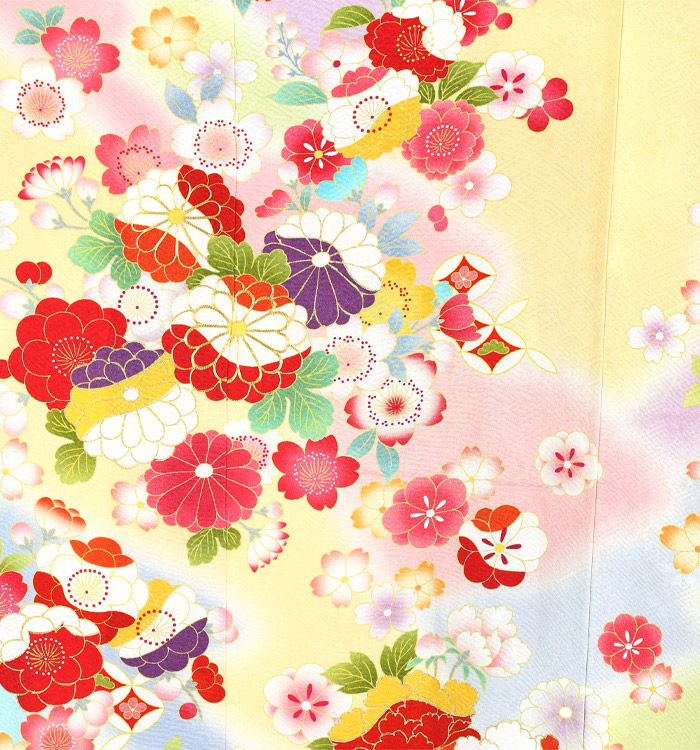 振袖 No.EA-1132-Mサイズ_05