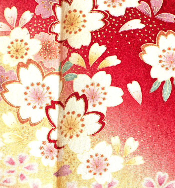 振袖（専用襦袢付）No.EA-1597-Mサイズのレンタル｜きもの365