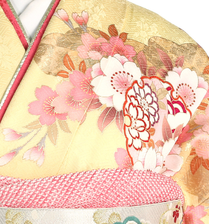 振袖 No.EA-1726-Mサイズのレンタル｜きもの365