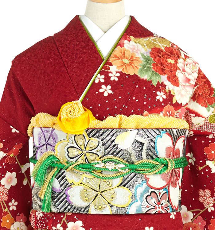 専用 DAYTONA（バイク用品） デイトナ 91828 エンジンプロテクター 車種別