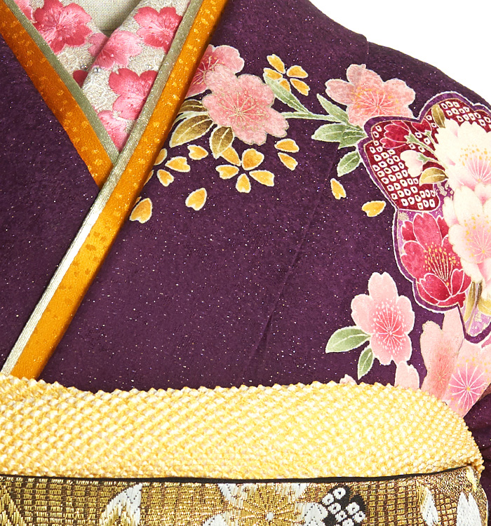 振袖（専用襦袢付）No.EA-1913-トール-LLサイズのレンタル｜きもの365