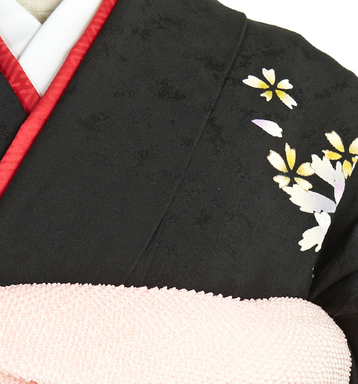 振袖（専用襦袢付）No.EA-2061-Lサイズのレンタル｜きもの365