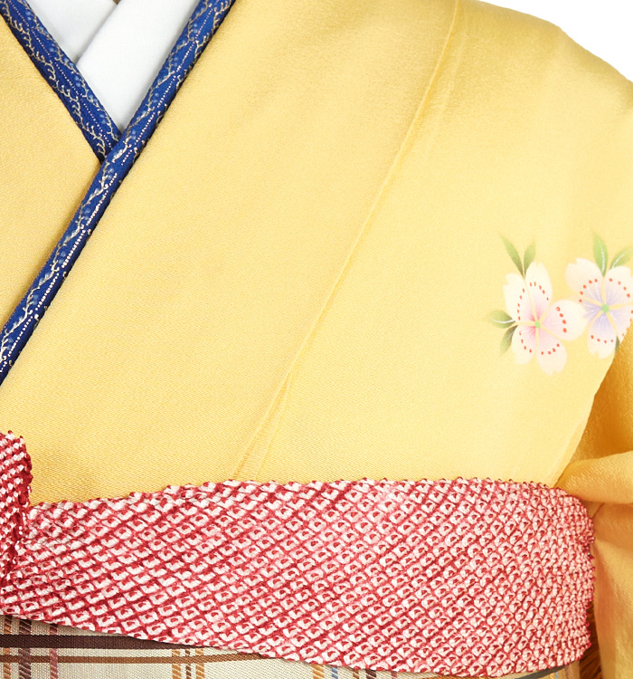 【hana ページ】 振袖（専用襦袢付）No.EA-2067-トール-LLサイズのレンタル｜きもの365