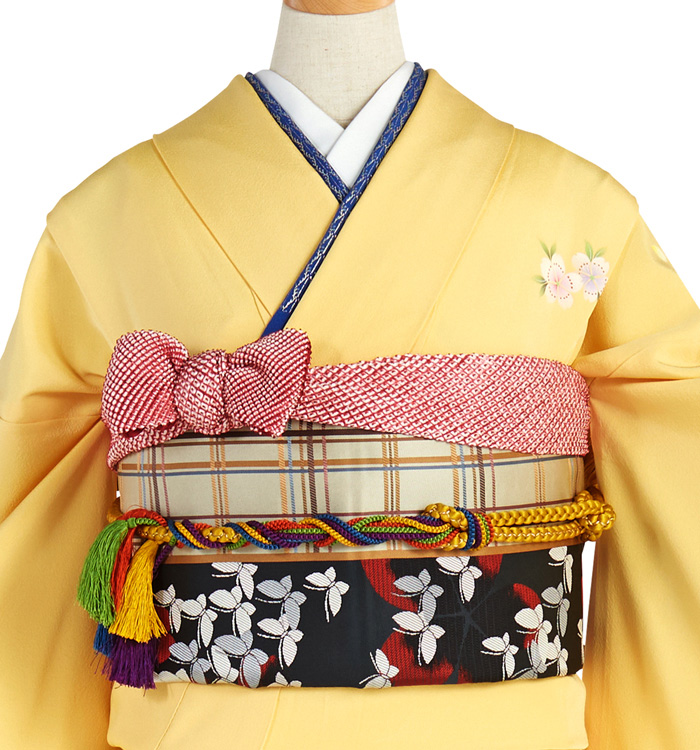 振袖（専用襦袢付）No.EA-2067-トール-LLサイズのレンタル｜きもの365