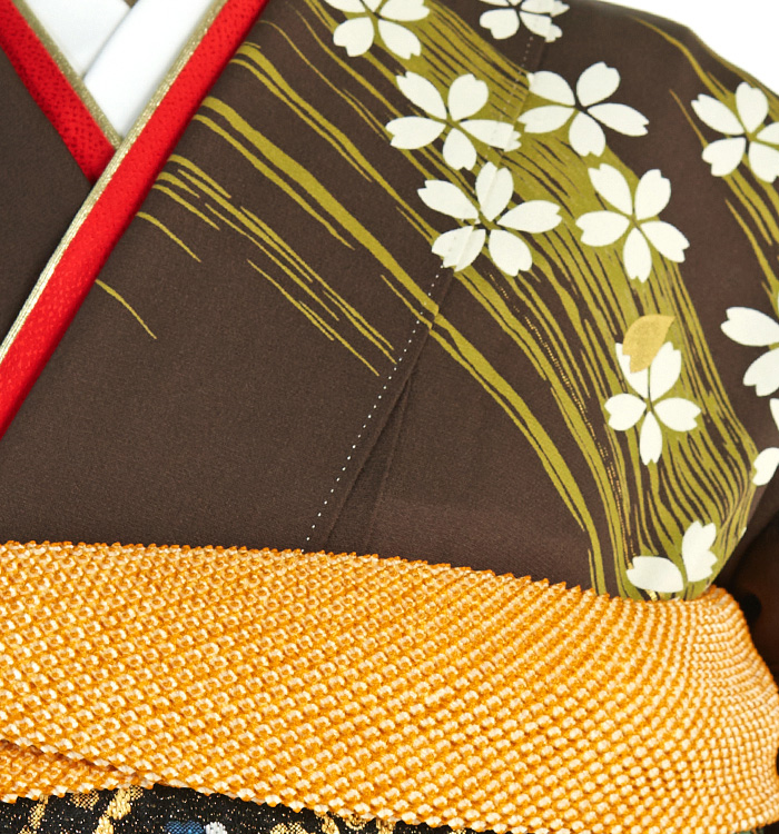 振袖（専用襦袢付）No.EA-2068-トール-LLサイズのレンタル｜きもの365