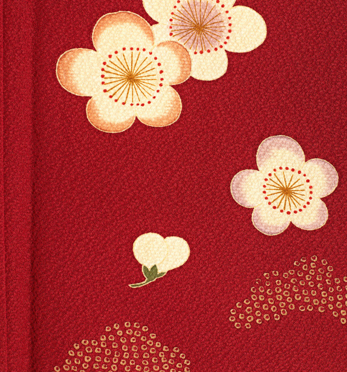 こむさでもーど 振袖 No.EA-2138-Lサイズの通販｜きもの365