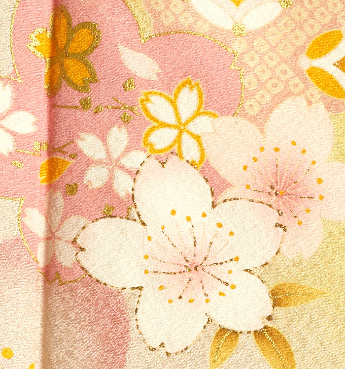 振袖 No.EA-3000-Sサイズ_08