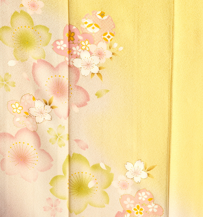 振袖 No.EA-3000-Sサイズ_06