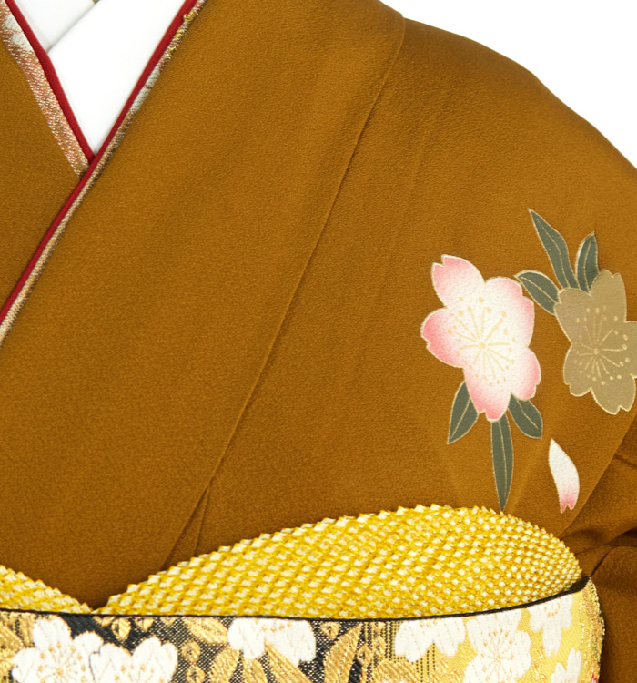 アンティーク風 振袖 No.EA-3089-Mサイズのレンタル｜きもの365