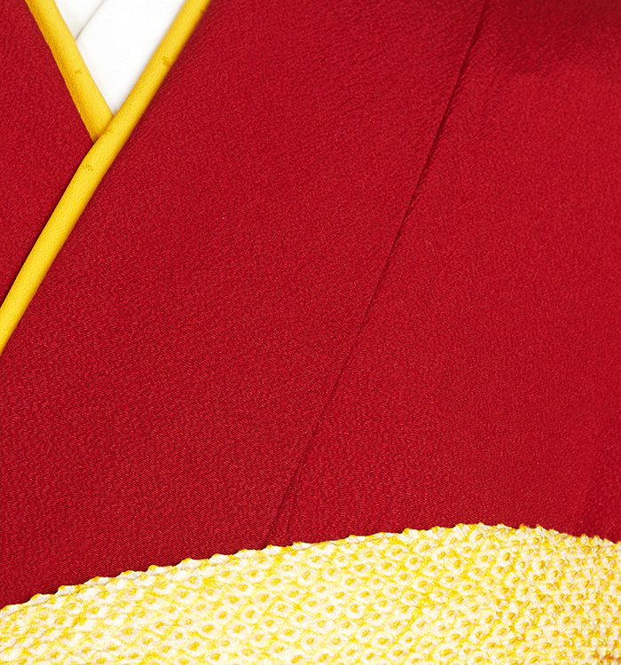 振袖 No.EA-3583-Laサイズのレンタル｜きもの365