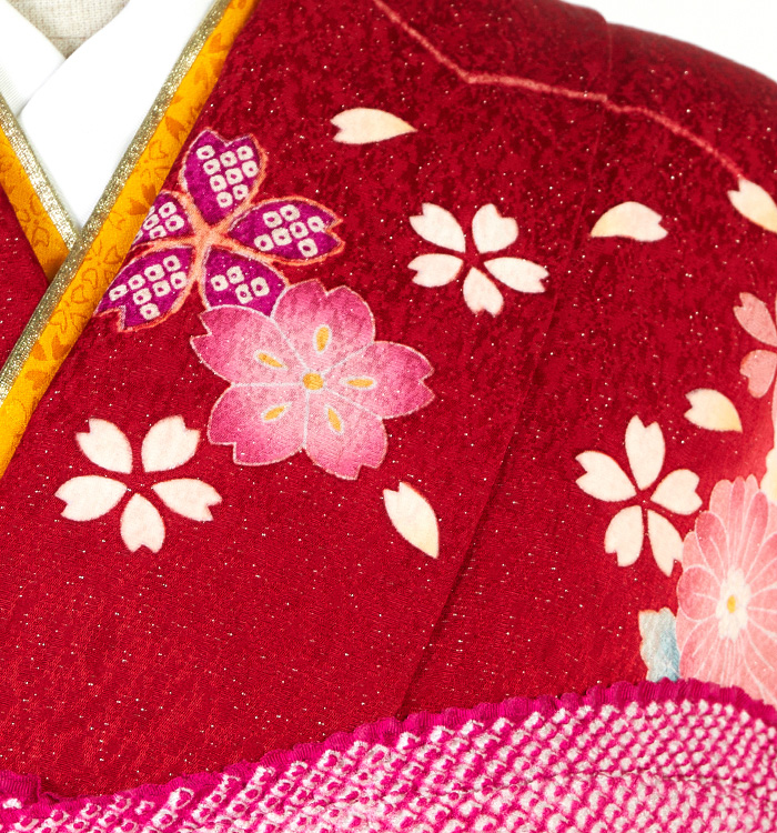 振袖（専用襦袢付）No.EA-3610-Mサイズ_06