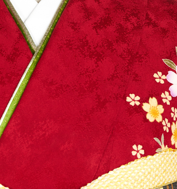 振袖（専用襦袢付）No.EA-3739-トール-LLサイズのレンタル｜きもの365