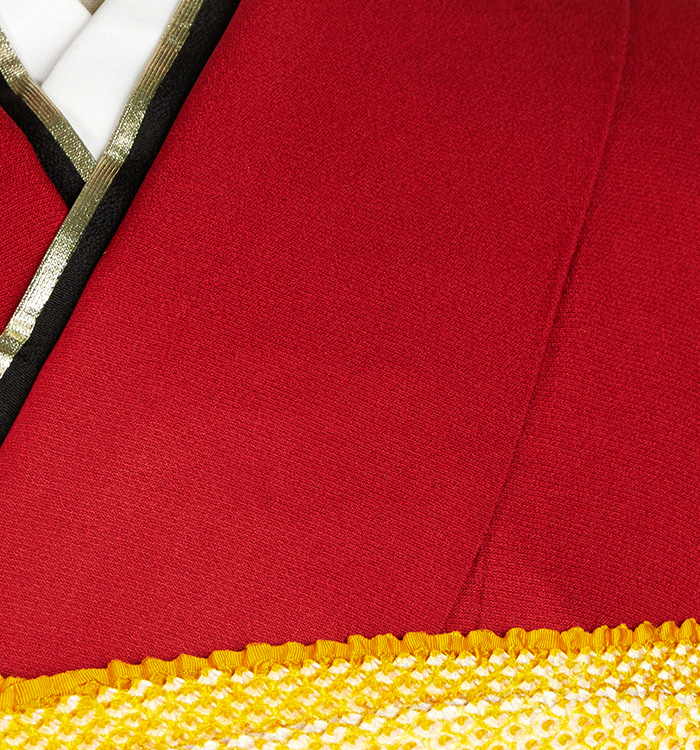 振袖 No.EA-3872-Lサイズのレンタル｜きもの365