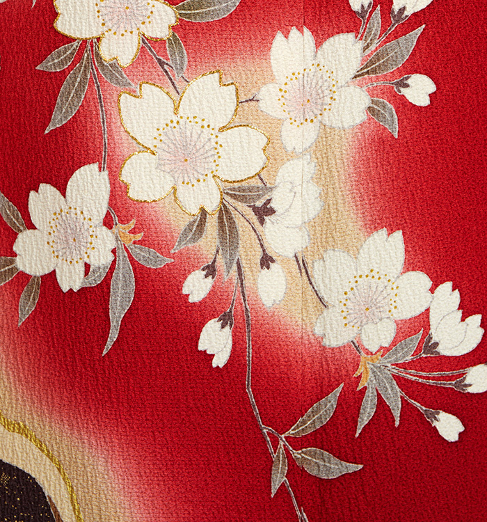 振袖 No.EA-3874-Mサイズ_05