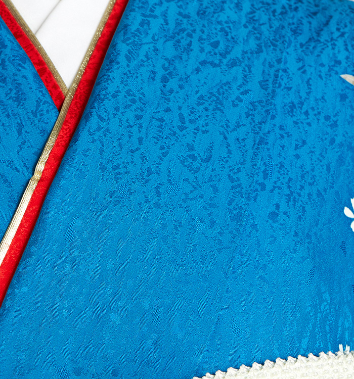 振袖 No.EA-3940-トール-LLサイズのレンタル｜きもの365