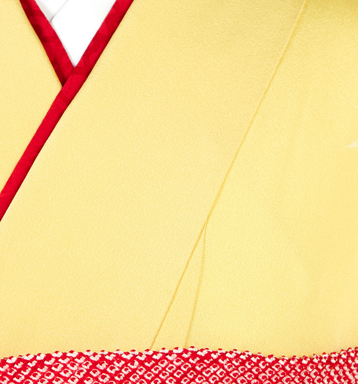 振袖 No.EA-3953-Lサイズのレンタル｜きもの365