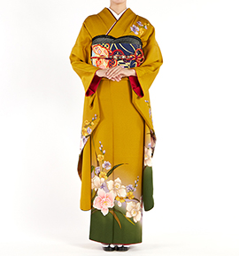 振袖(成人式)の人気・おすすめ商品一覧｜着物レンタル・通販【きもの