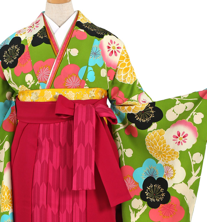 紅一点 卒業袴 No.FE-0717-Lサイズ_01