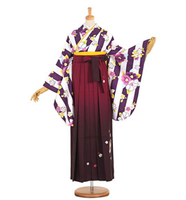 卒業袴 No.FE-0790-2Lサイズ