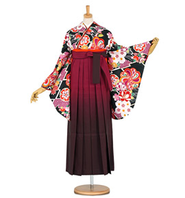 卒業袴 No.FE-0804-Lサイズ