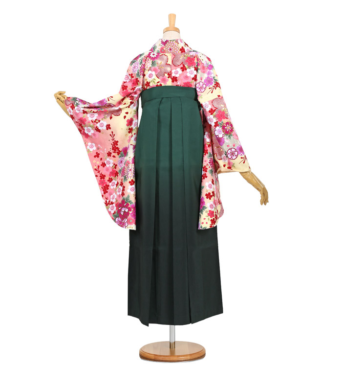卒業袴 No.FE-0810-2L/3Lサイズ_02