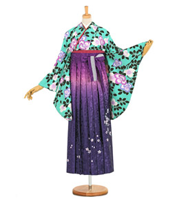 卒業袴 No.FE-0817-Lサイズ