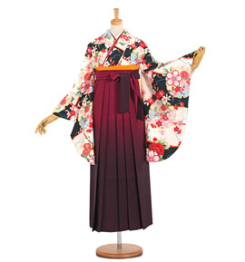 卒業袴 No.FE-0854-Lサイズ