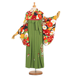 卒業袴 No.FE-0856-2L/3Lサイズ