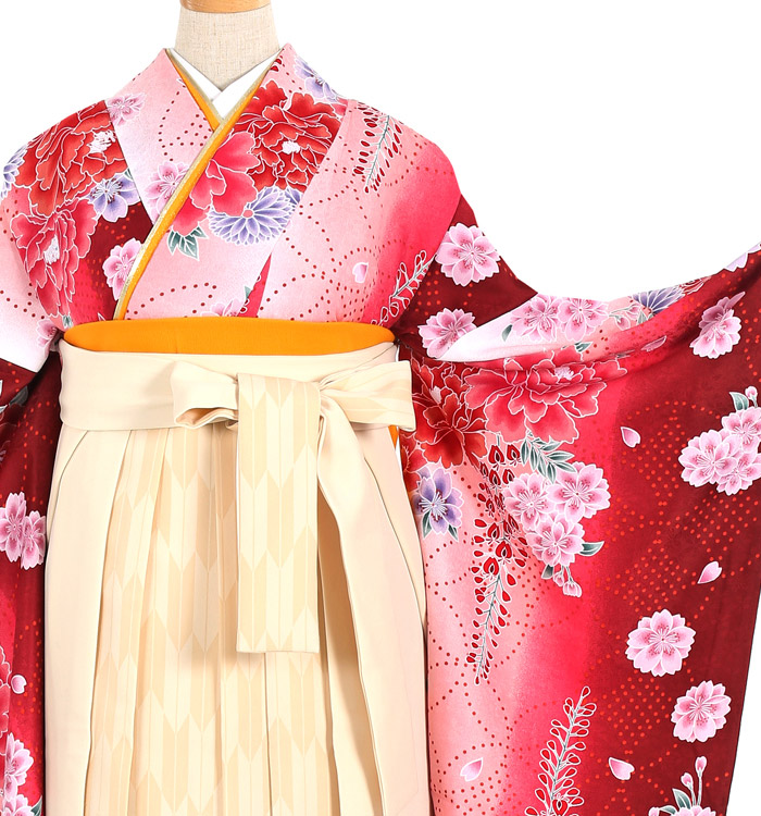 卒業袴 No.FE-0863-Lサイズ_01