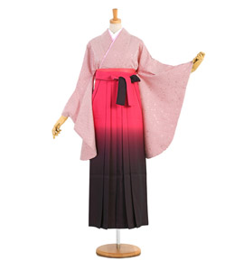 卒業袴 No.FE-0910-Lサイズ