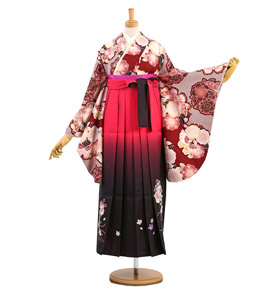 卒業袴 No.FE-0996-Mサイズ