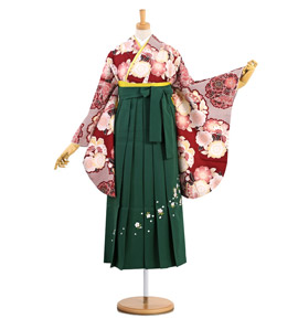 卒業袴 No.FE-0998-Sサイズ