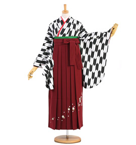 卒業袴 No.FE-1014-Lサイズ