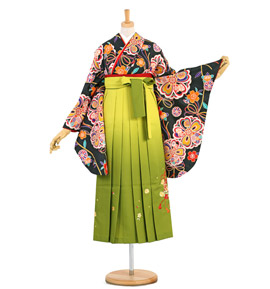 卒業袴 No.FE-1061-Sサイズ