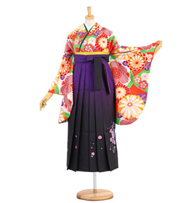 卒業袴 No.FE-1085-Sサイズ