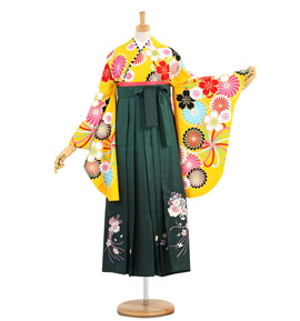 JAPAN STYLE 卒業袴 No.FE-1138-Mサイズ