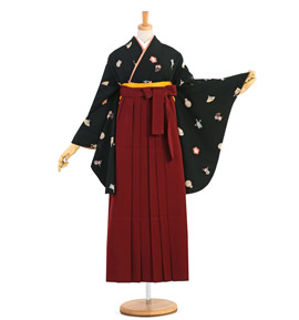 卒業袴 No.FE-1167-Lサイズ