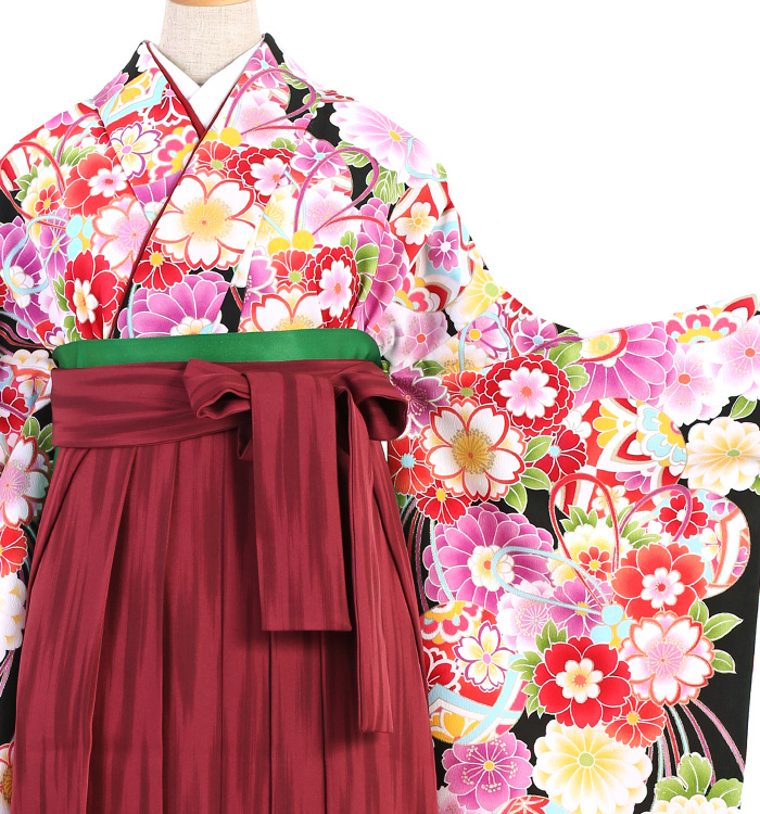 卒業袴 No.FE-1173-Lサイズ_01