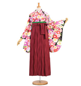 卒業袴 No.FE-1173-Lサイズ