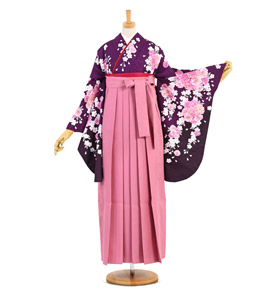 袴【中古】hiromichi nakano  LL  卒業式 hiromichi nakano 卒業袴 No.FE-2018-2Lサイズのレンタル｜きもの365