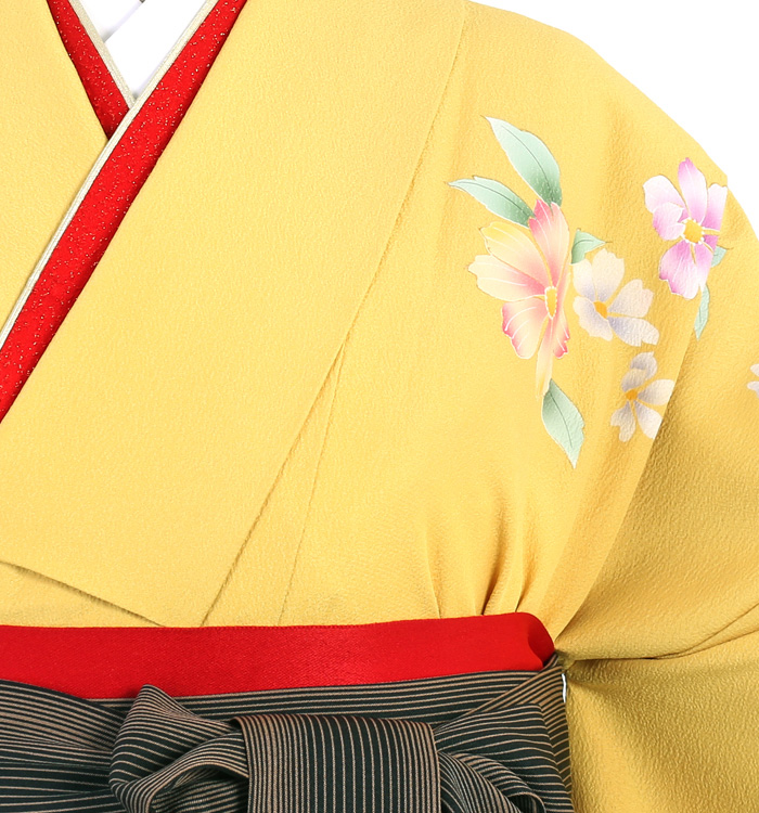 卒業袴 No.FE-1232-Mサイズのレンタル｜きもの365