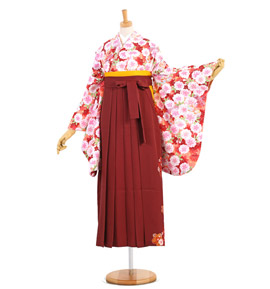 卒業袴 No.FE-1283-Mサイズ