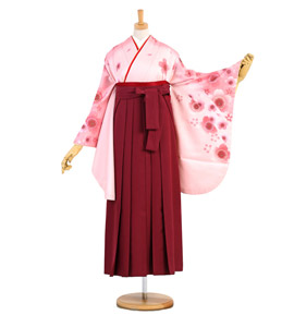 卒業袴 No.FE-1289-Mサイズ