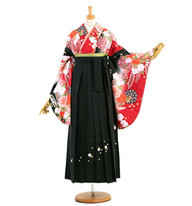 卒業袴 No.FE-1312-Lサイズ