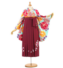 卒業袴 No.FE-1358-Sサイズ