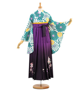 卒業袴 No.FE-1368-Lサイズ