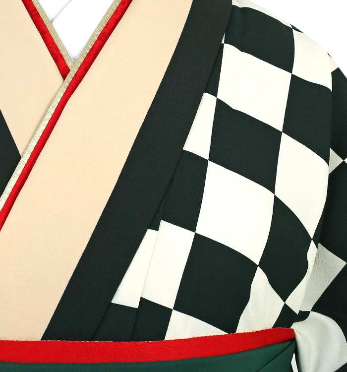 卒業袴 No.FE-1378-Lサイズ_03